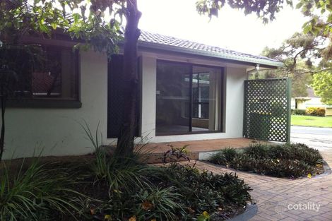 1/11 Wildwood Ct, Surfers Paradise, QLD 4217