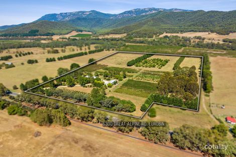 6300 Great Alpine Rd, Eurobin, VIC 3739