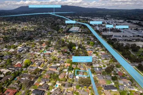 Property photo of 15 Collins Close Scoresby VIC 3179