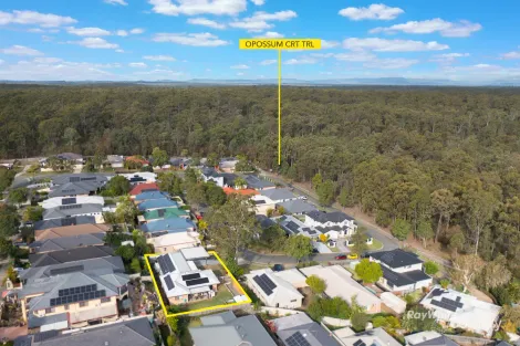 Property photo of 42 Speckled Circuit Springfield Lakes QLD 4300