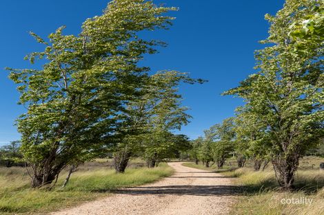 Property photo of 501 Packham Drive Molong NSW 2866