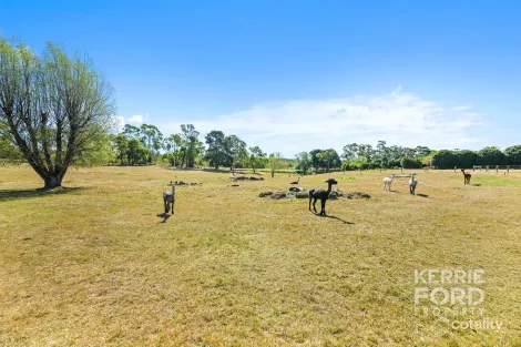 Property photo of 20 Scrubby Lane Traralgon VIC 3844
