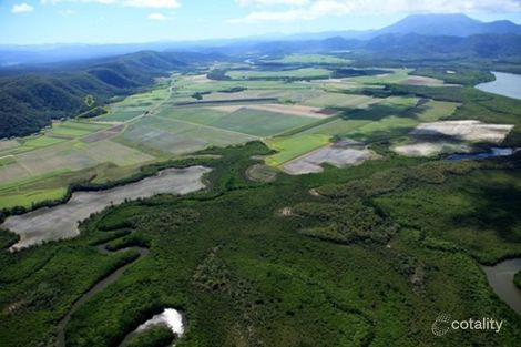 Property photo of 34 De Meio Drive Lower Daintree QLD 4873