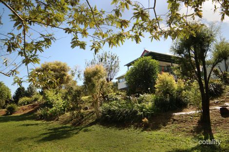 Property photo of 159 Cecil Street Nimbin NSW 2480