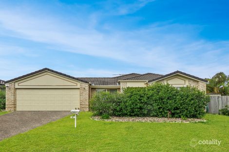Property photo of 7 Citrinus Court Ormeau QLD 4208
