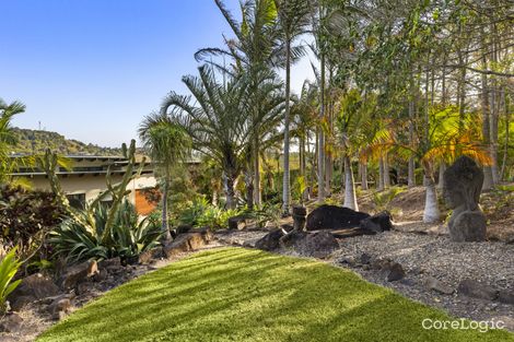 Property photo of 141 Blanckensee Road Black Mountain QLD 4563
