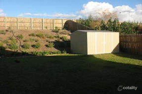 Property photo of 7 Grebe Court Douglas QLD 4814