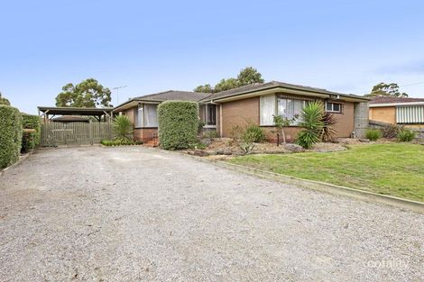 11 Amoore Ave, Highton, VIC 3216
