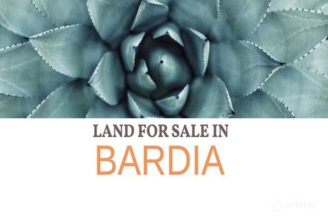 24 Lamia St, Bardia, NSW 2565