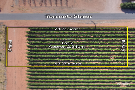 Property photo of LOT 2 Tarcoola Street Renmark SA 5341