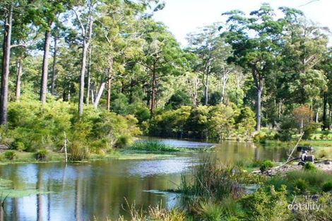 Property photo of 131 Carlyle Road Kundabung NSW 2441