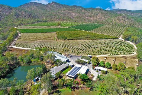 530 Piemonte Rd, Mutchilba, QLD 4872