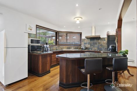 Property photo of 11 Clangula Court Endeavour Hills VIC 3802