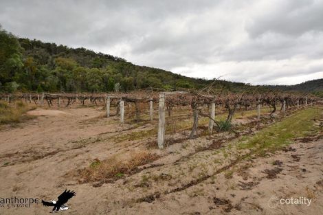 Property photo of 198 Days Road Lyra QLD 4382