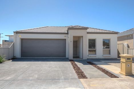 1c Owen St, Seaton, SA 5023