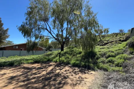 Property photo of 23 Gilbert Place Larapinta NT 0875