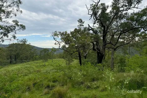Property photo of 3460 Nowendoc Road Caffreys Flat NSW 2424