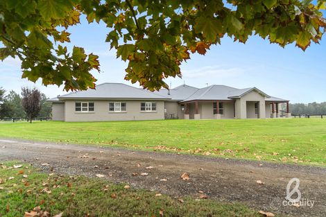 1401 Bridgman Rd, Bridgman, NSW 2330