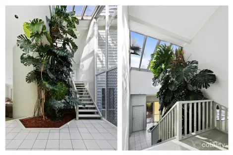 Property photo of 19 Thomas Mitchell Crescent Sunshine Bay NSW 2536