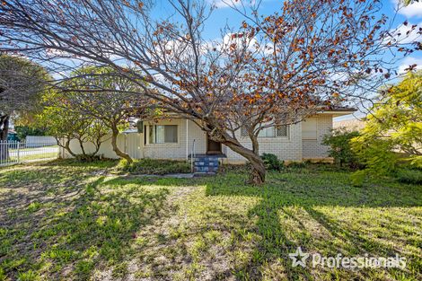 Property photo of 59 Culloton Crescent Balga WA 6061