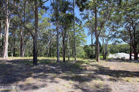 Property photo of 11 Caryota Place Forster NSW 2428