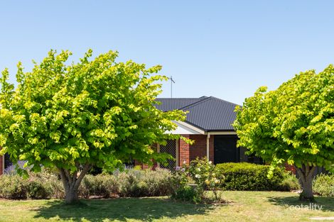 Property photo of 15 Bethune Place Newnham TAS 7248