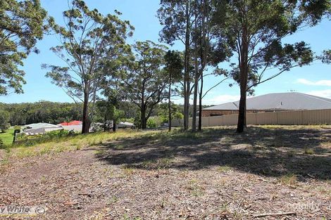 Property photo of 11 Caryota Place Forster NSW 2428