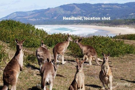 Property photo of 10 Ocean View Crescent Emerald Beach NSW 2456