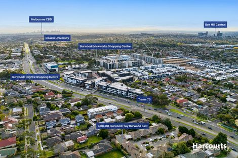 7/86-88 Burwood Hwy, Burwood East, VIC 3151