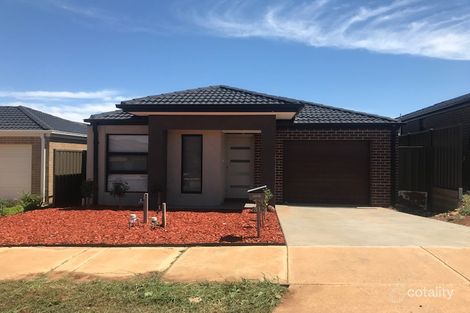 Property photo of 31 Tourmaline Drive Cobblebank VIC 3338