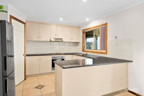 Property photo of 120 Soapy Flat Road High Range NSW 2575