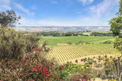 Property photo of 88 Hagley Road McLaren Vale SA 5171