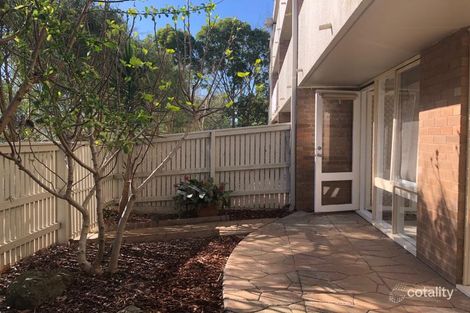 4/10-16 White St, Glen Iris, VIC 3146