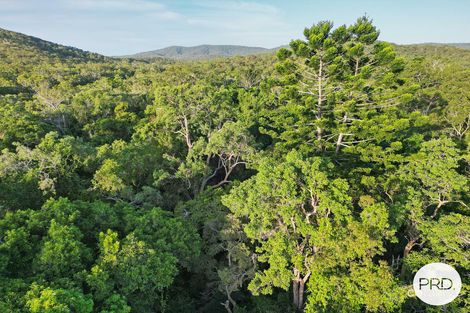 Property photo of 66 Baldaw Road Captain Creek QLD 4677