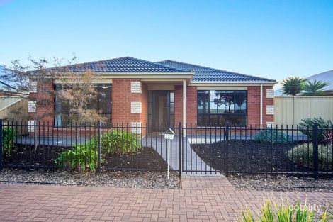 731 Grand Bvd, Seaford Meadows, SA 5169