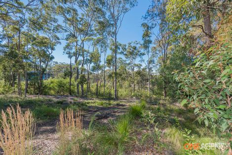 Property photo of 89 Lake Forest Drive Murrays Beach NSW 2281