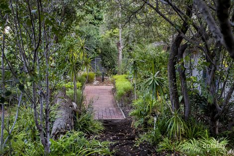 Property photo of 49 Statenborough Street Leabrook SA 5068