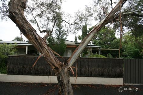 4 Oakley Ave, Forestville, SA 5035