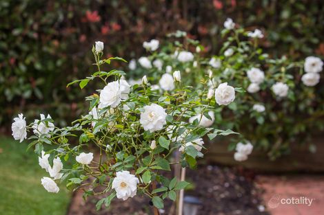 Property photo of 3 Norton Lane Bowral NSW 2576