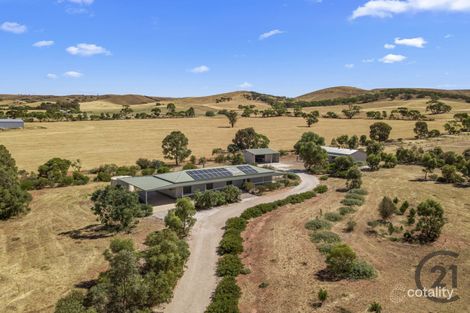 Property photo of 81 Stock Route Road Point Pass SA 5374
