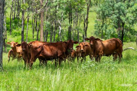 1242 Esk Crows Nest Rd, Biarra, QLD 4313