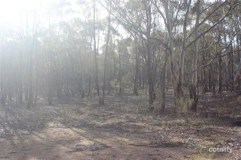 Property photo of 3365 Dunolly-Wedderburn Road Moliagul VIC 3472