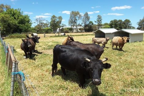 Property photo of 139 Lennard Street Herne Hill WA 6056