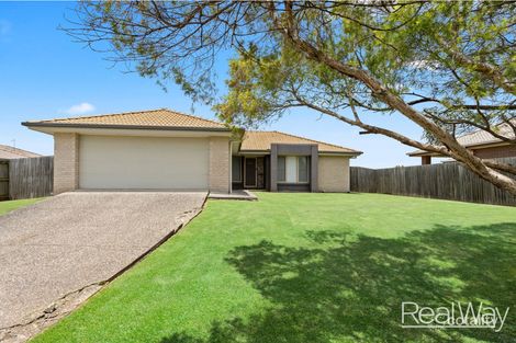 Property photo of 49 Baden Jones Way North Booval QLD 4304