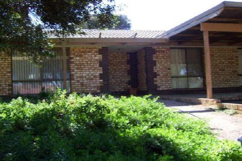 7 Guy St, Berri, SA 5343