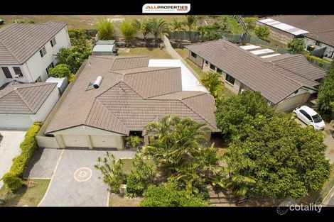 Property photo of 1 Linaria Circuit Drewvale QLD 4116
