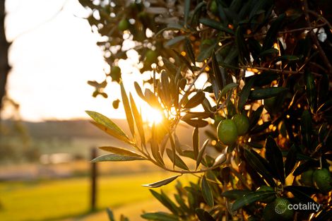 Property photo of 111 Schoch Road Rosenthal Heights QLD 4370