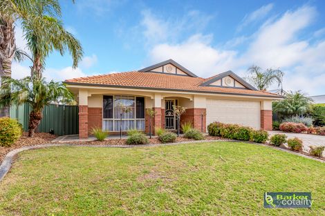 Property photo of 6 Providence Boulevard Hewett SA 5118