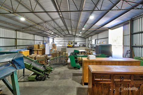 Property photo of 4 Mill Road Loxton SA 5333