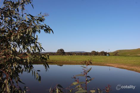 21 Scenic Dr, Mansfield, VIC 3722